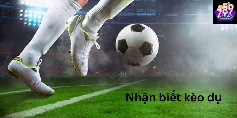 Cách nhận biết kèo dụ Áp dụng thực tiễn cách nhận biết kèo dụ qua các ví dụ điển hình